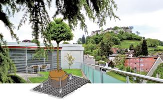 Roof garden with lawn and trees